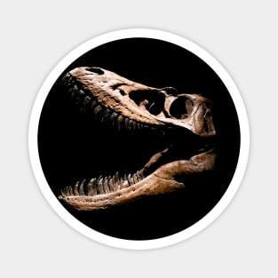 Dinosaur Skull Magnet